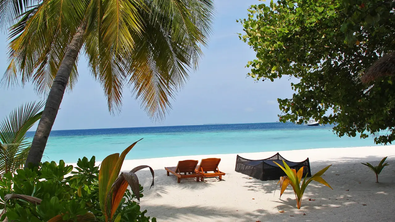 At vero eos et accusamus et iusto odio dignissimos volut